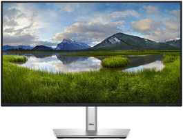 DELL Pro Plus P2425H - Monitor PC 23.8" (60.5cm) Full HD 1920x1080 IPS, 100Hz, 5ms, USB-C, HDMI, DisplayPort, VESA, Ajuste Altura, Negro
