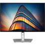 DELL Pro Plus P2425H 23.8'' Full HD IPS 100Hz Negro