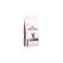 Royal Canin Feline Renal Sabor Pescado 400 gr