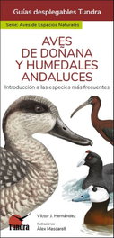 Tundra, Aves de Doñana y humedales andaluces - Victor J. Hernandez