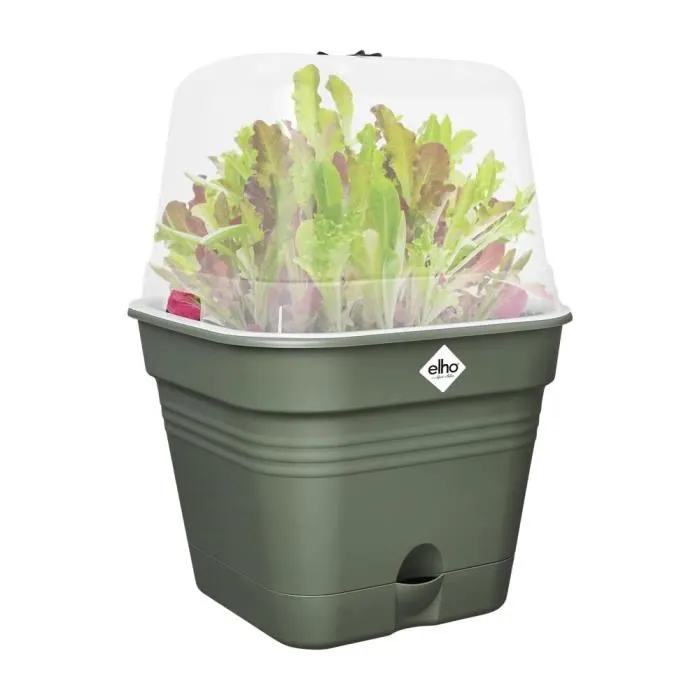 Elho Green Basics Maceta de cultivo cuadrada - Ø 35 cm - Plástico - 14 l - Verde Elho Green Basics Maceta de cultivo cuadrada - Ø 35 cm - Plástico - 14 l - Verde