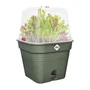 Elho Green Basics Maceta de cultivo cuadrada - Ø 35 cm - Plástico - 14 l - Verde