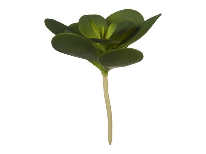 Ibergarden Planta Hoja Redonda 18x23x18 cm Plástico Verde (Set de 18)