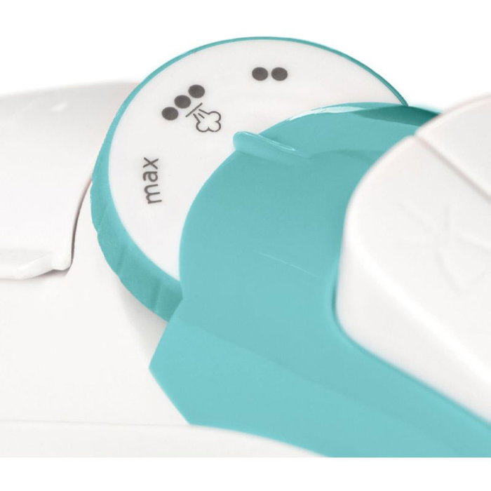 RUSSELL HOBBS Plancha de vapor 2400W antiadherente