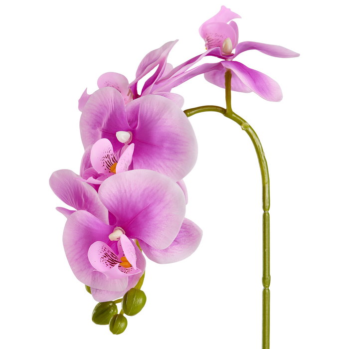 Day Planta Artificial Orquídea Colores Surtidos Maceta 11x10 cm Altura 40 cm