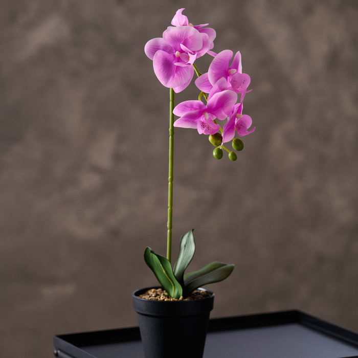 Day Planta Artificial Orquídea Colores Surtidos Maceta 11x10 cm Altura 40 cm