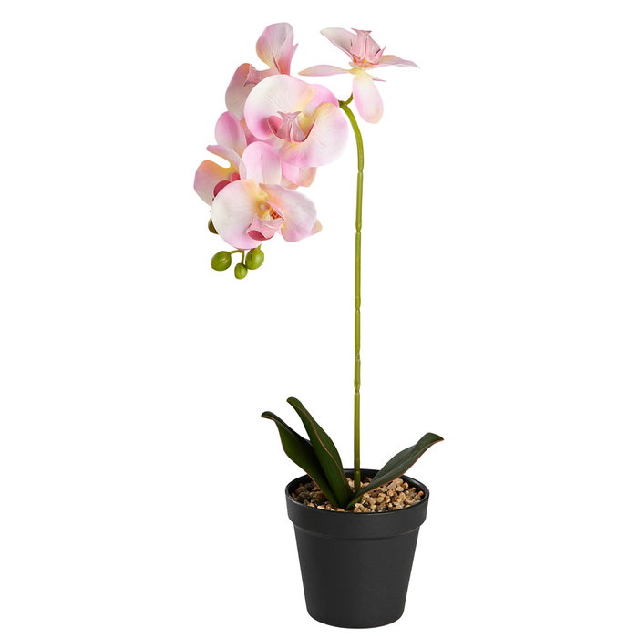 Day Planta Artificial Orquídea Colores Surtidos Maceta 11x10 cm Altura 40 cm