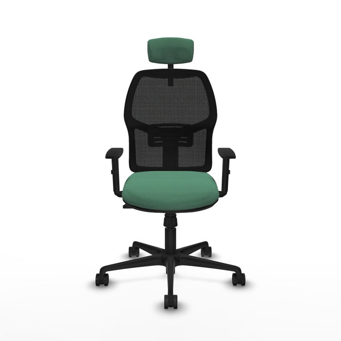Silla de oficina Alfera con mecanismo Sincro tapizada con Tela color Verde esmeralda y malla color Negro. Equipada con lumbar 1D, Brazos 1D, Cabecero 2D y Ruedas 65mm nailon Silla de oficina Alfera con mecanismo Sincro tapizada con Tela color Verde esmeralda y malla color Negro. Equipada con lumbar 1D, Brazos 1D, Cabecero 2D y Ruedas 65mm nailon