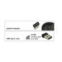DeLOCK 12528 Ratón Vertical Ergonómico Inalámbrico 2,4 GHz
