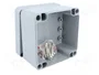FIBOX ALN Carcasa universal de aluminio gris