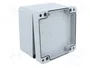 FIBOX ALN Carcasa universal de aluminio gris