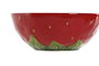 DKD Home Decor Bol de Gres Fresa Rojo