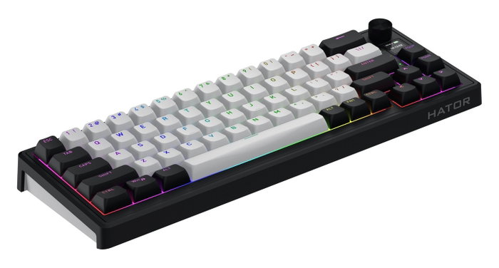 Hator Skyfall 65 Aurum Ice Teclado Gaming Inalámbrico Blanco-Negro Hator Skyfall 65 Aurum Ice Teclado Gaming Inalámbrico Blanco-Negro