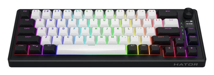 Hator Skyfall 65 Aurum Ice Teclado Gaming Inalámbrico Blanco-Negro Hator Skyfall 65 Aurum Ice Teclado Gaming Inalámbrico Blanco-Negro