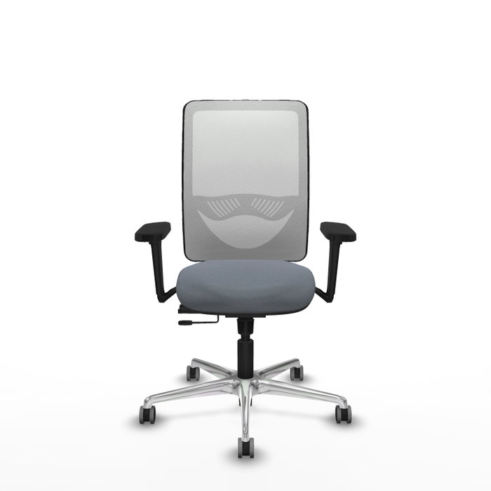PIQUERAS Y CRESPO Silla de oficina Zulema con mecanismo Sincro/Traslack, Gris y Blanco PIQUERAS Y CRESPO Silla de oficina Zulema con mecanismo Sincro/Traslack, Gris y Blanco