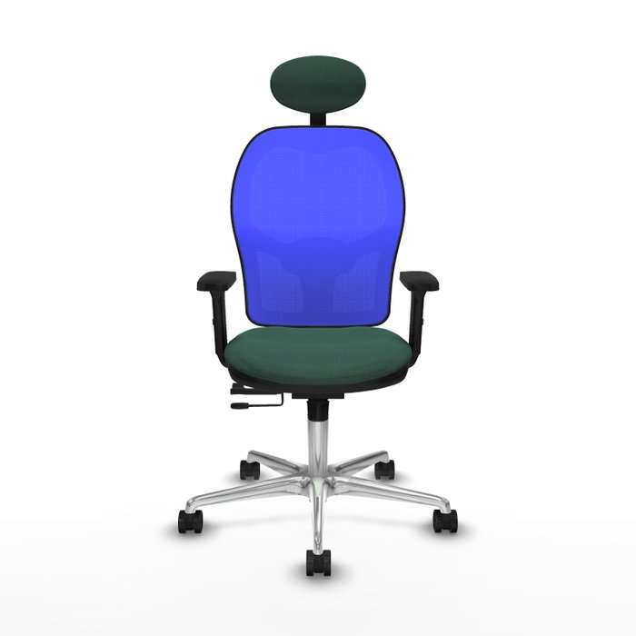 PIQUERAS Y CRESPO Silla de oficina Jorquera con mecanismo Sincro/Traslack, Verde botella y Azul PIQUERAS Y CRESPO Silla de oficina Jorquera con mecanismo Sincro/Traslack, Verde botella y Azul