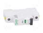 SCHNEIDER ELECTRIC Interruptor magnetotérmico iC60H 16A 1P Curva C