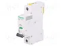 SCHNEIDER ELECTRIC Interruptor magnetotérmico iC60H 16A 1P Curva C