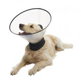 Kruuse Collar Premium Starter Kit (1S, 1M, 1L) 3UD