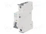 SIEMENS 5SY7110-6 Interruptor magnetotérmico 10A 1P 15kA