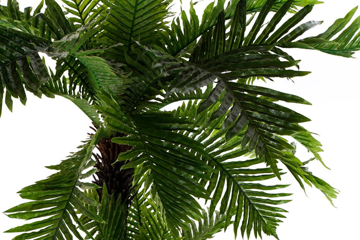 DKD Home Decor Palmera Eva PP Verde 80x90x137