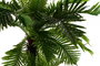 DKD Home Decor Palmera Eva PP Verde 80x90x137