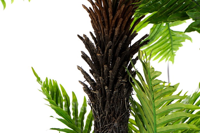 DKD Home Decor Palmera Eva PP Verde 80x90x137