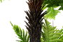 DKD Home Decor Palmera Eva PP Verde 80x90x137
