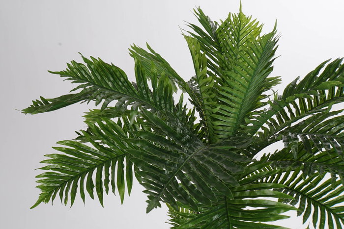 DKD Home Decor Palmera Eva PP Verde 80x90x137