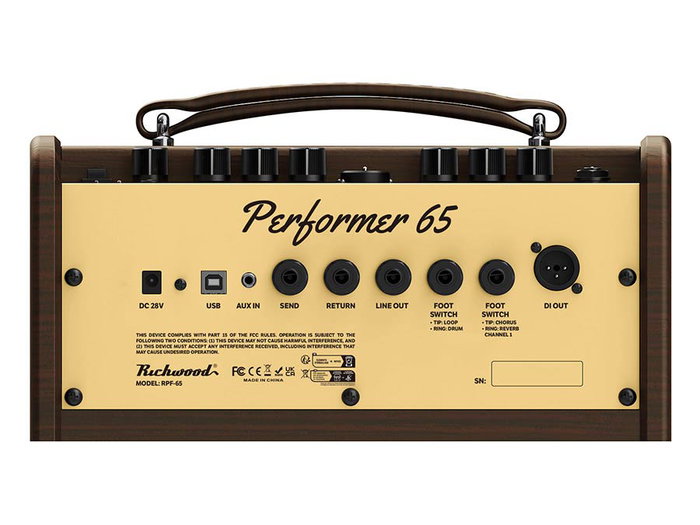 Amplificador Guit. Acústica Richwood 2 Canales