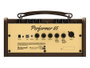 Amplificador Guit. Acústica Richwood 2 Canales