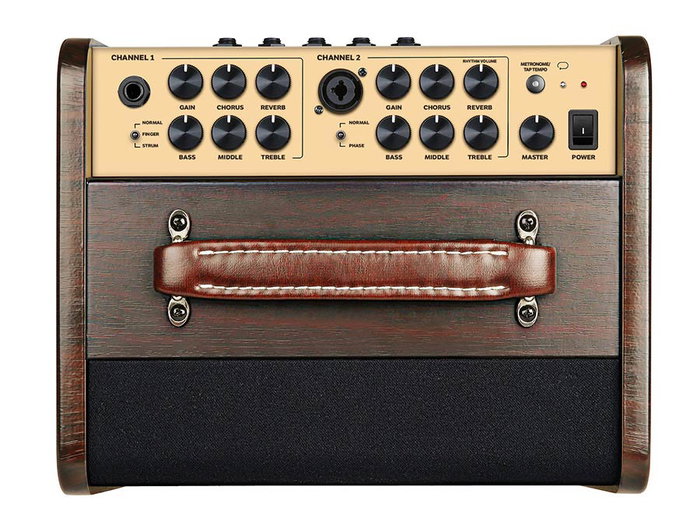 Amplificador Guit. Acústica Richwood 2 Canales