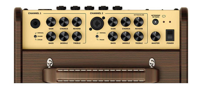 Amplificador Guit. Acústica Richwood 2 Canales