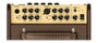 Amplificador Guit. Acústica Richwood 2 Canales