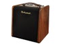 Amplificador Guit. Acústica Richwood 2 Canales