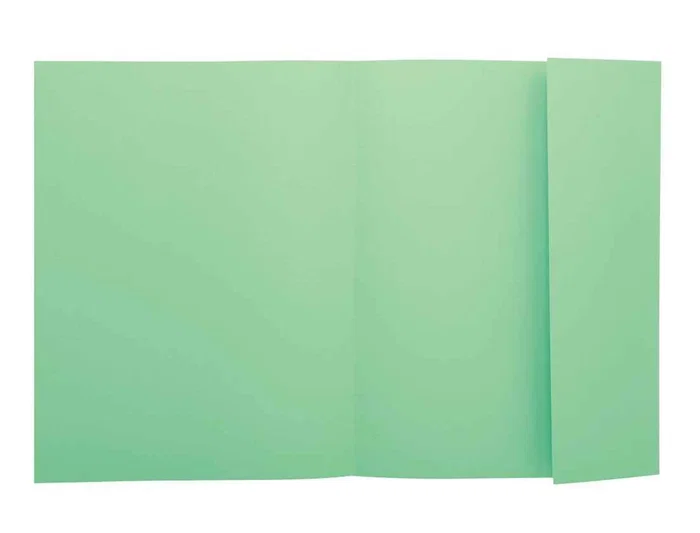 Exacompta Subcarpeta de Cartulina A4 210x297 mm, Verde Nature Future, 160 g/m², con Solapa Lateral, Certificado PEFC