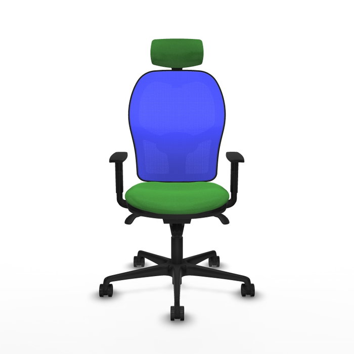 PIQUERAS Y CRESPO Silla de oficina Jorquera con mecanismo Sincro, Tela Verde y Malla Azul PIQUERAS Y CRESPO Silla de oficina Jorquera con mecanismo Sincro, Tela Verde y Malla Azul