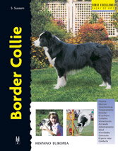 Border Collie, Sussam, S. - HISPANO EUROPEA
