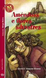 BAIA, Amendoas e flores silvestres, David Vázquez Álvarez