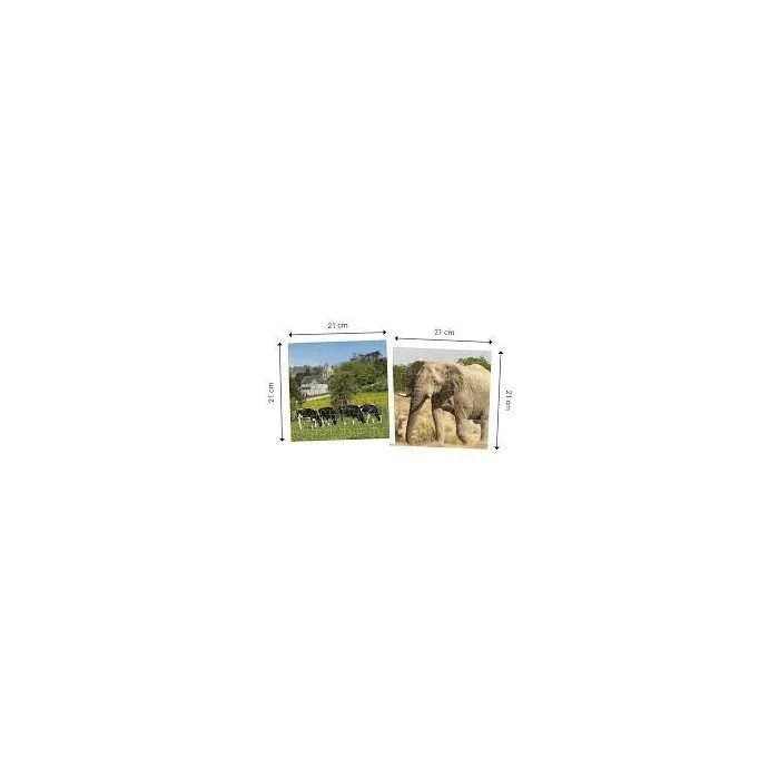 Topi Games Topi - Rompecabezas Hermosos Animales Escapando 2x49 Piezas - TOP3760089892404 - Edad 6+ Topi Games Topi - Rompecabezas Hermosos Animales Escapando 2x49 Piezas - TOP3760089892404 - Edad 6+