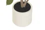 DKD Home Decor Planta Artificial Hibisco Verde Blanco 60x60x160 cm 2 Unidades