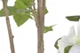 DKD Home Decor Planta Artificial Hibisco Verde Blanco 60x60x160 cm 2 Unidades