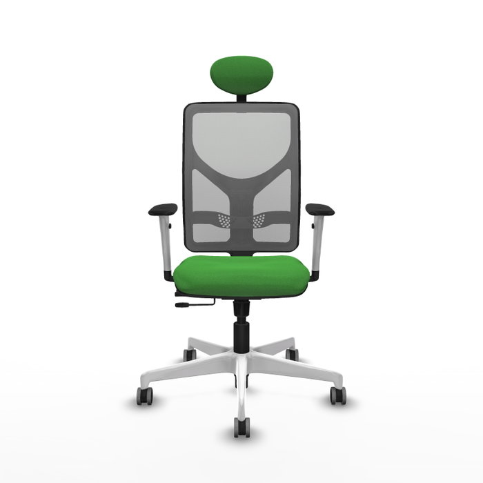 PIQUERAS Y CRESPO Silla de oficina Motilla con mecanismo Sincro/Traslack, Tela Verde y Malla Gris PIQUERAS Y CRESPO Silla de oficina Motilla con mecanismo Sincro/Traslack, Tela Verde y Malla Gris