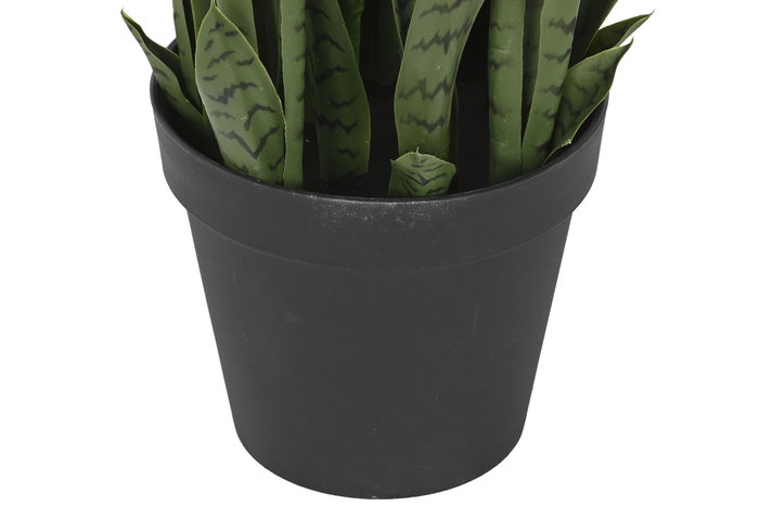 DKD Home Decor Planta Sansevieria Verde 40x40x150 cm DKD Home Decor Planta Sansevieria Verde 40x40x150 cm