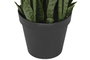 DKD Home Decor Planta Sansevieria Verde 40x40x150 cm