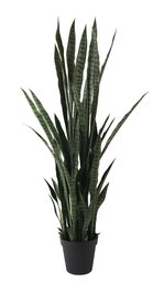 DKD Home Decor Planta Sansevieria Verde 40x40x150 cm