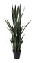 DKD Home Decor Planta Sansevieria Verde 40x40x150 cm