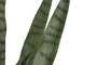DKD Home Decor Planta Sansevieria Verde 40x40x150 cm