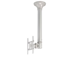 Newstar soporte de techo para tv