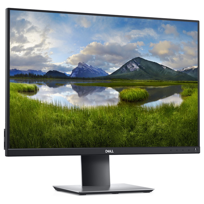 Dell P2421 Monitor 24.1" WUXGA 1920x1200 IPS 5ms 16:10 DisplayPort HDMI DVI USB-C Negro